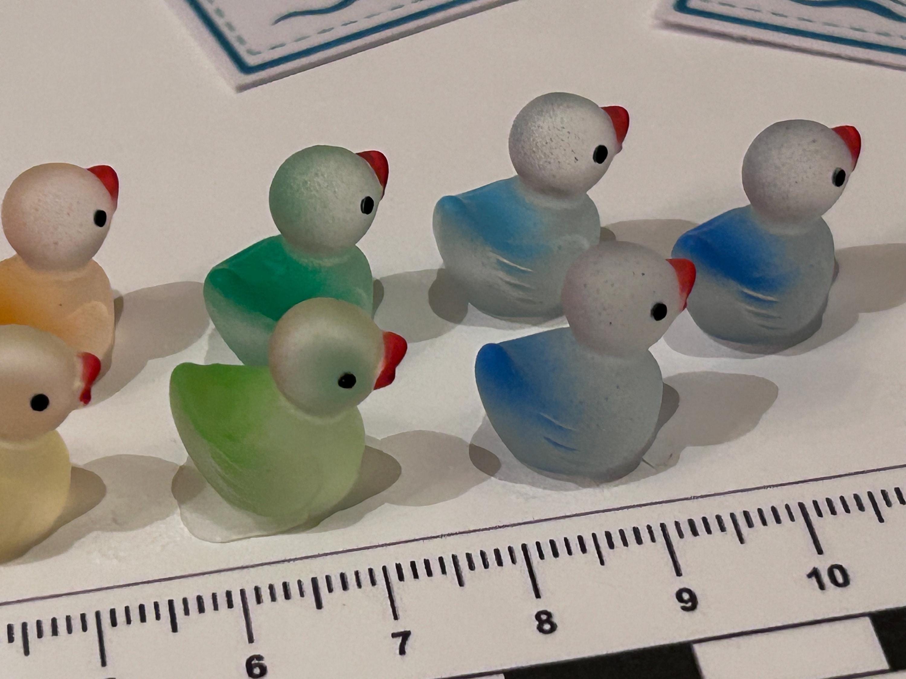 Set of 10, Ombre Themed Mini Resin Ducks, Magnetic or Non-Magnetic, Optional Personalized Duck Hiding Tags