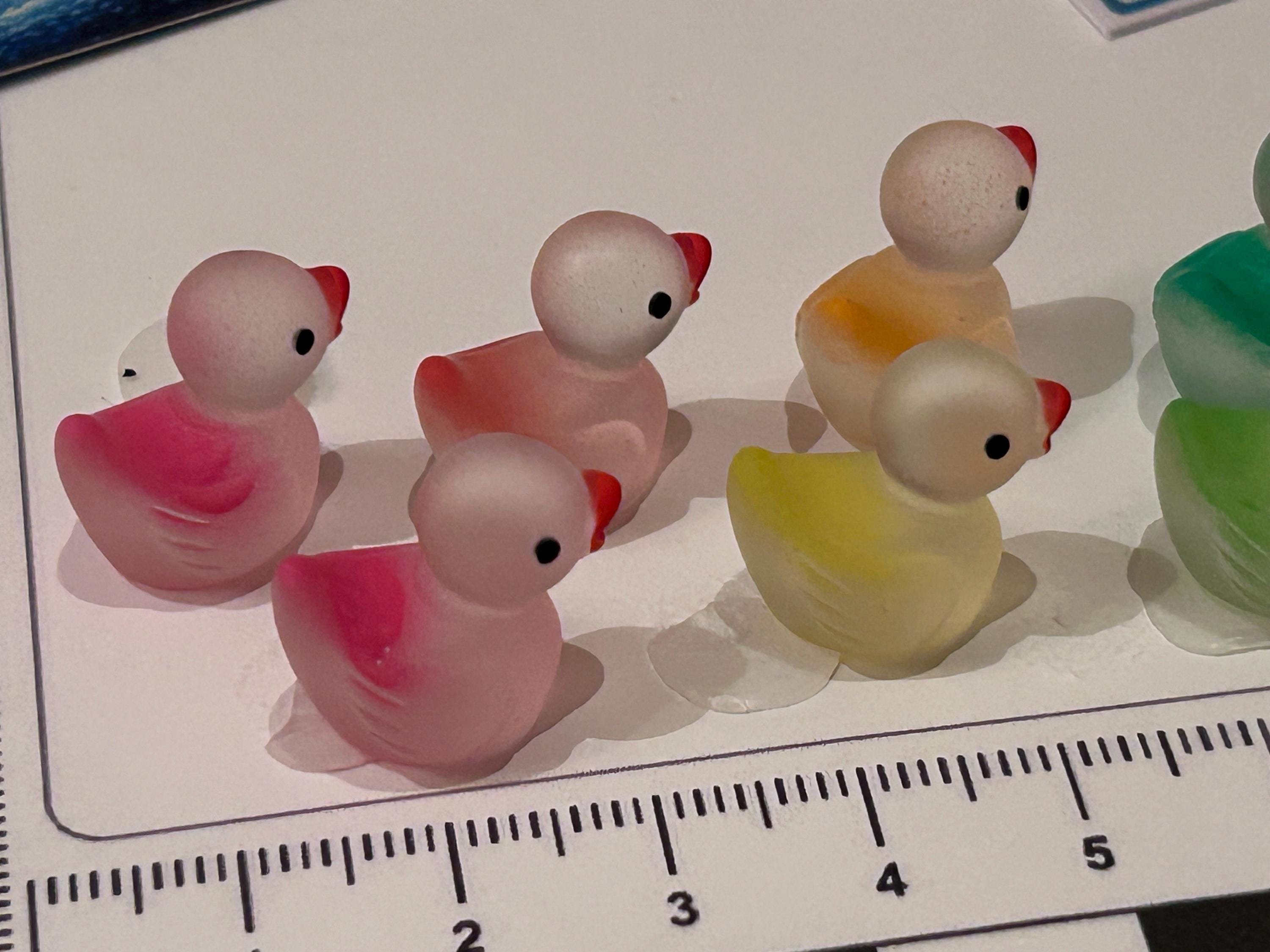 Set of 10, Ombre Themed Mini Resin Ducks, Magnetic or Non-Magnetic, Optional Personalized Duck Hiding Tags