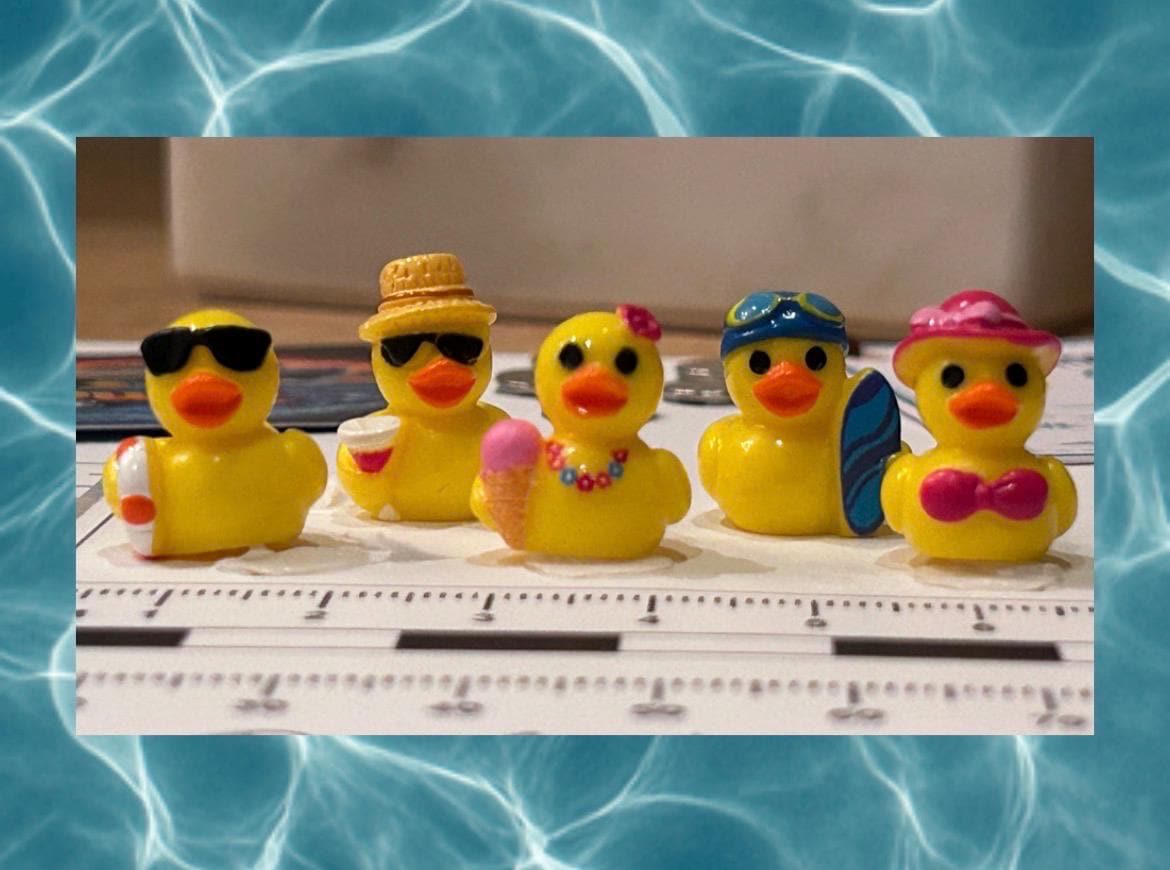 Set of 5, Summer Beach Themed Mini Resin Ducks, Magnetic or Non-Magnetic, Optional Personalized Duck Hiding Tags