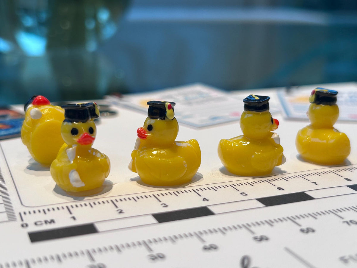 Set of 5, Graduation Themed Mini Resin Ducks, Magnetic or Non-Magnetic, Optional Personalized Duck Hiding Tags
