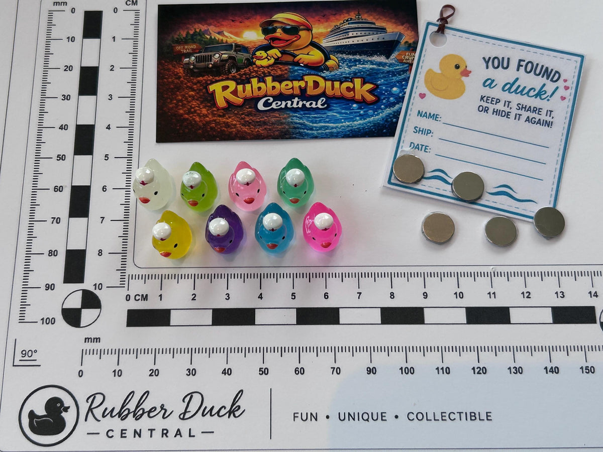 Set of 8, Glow-in-the-Dark Nurse Themed Mini Resin Ducks, Magnetic or Non-Magnetic, Optional Personalized Duck Hiding Tags