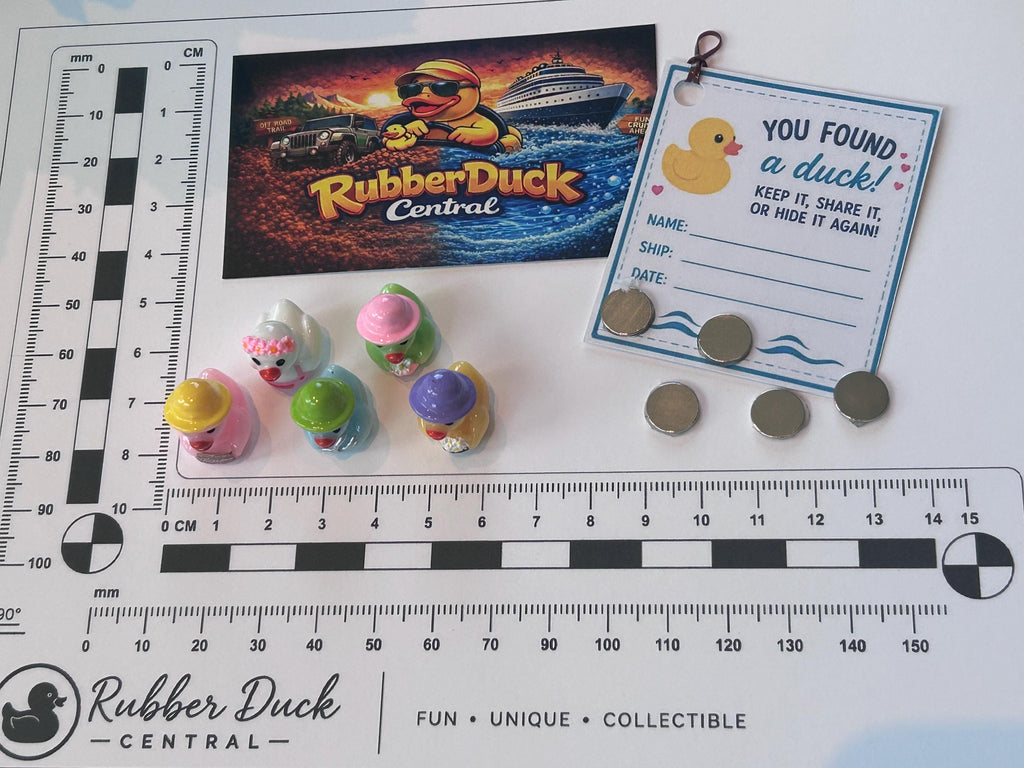 Set of 5, Spring Gardening Themed Mini Resin Ducks, Magnetic or Non-Magnetic, Optional Personalized Duck Hiding Tags