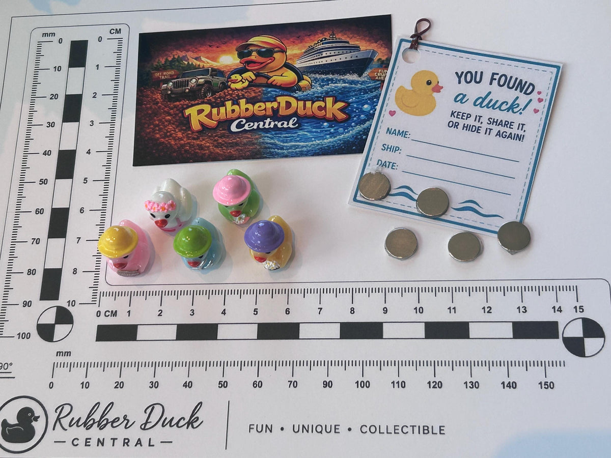 Set of 5, Spring Gardening Themed Mini Resin Ducks, Magnetic or Non-Magnetic, Optional Personalized Duck Hiding Tags