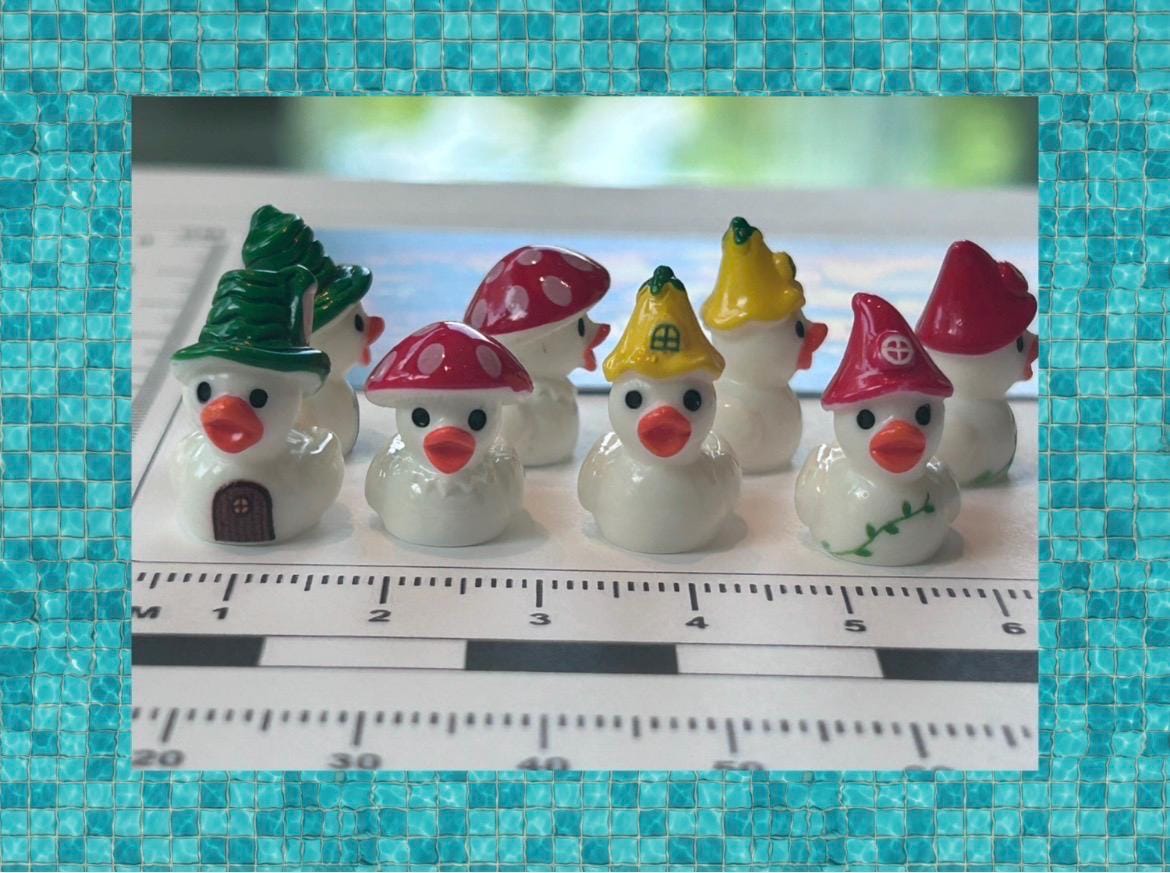 Set of 8, Forest Mushroom Themed Mini Resin Ducks, Magnetic or Non-Magnetic, Optional Personalized Duck Hiding Tags