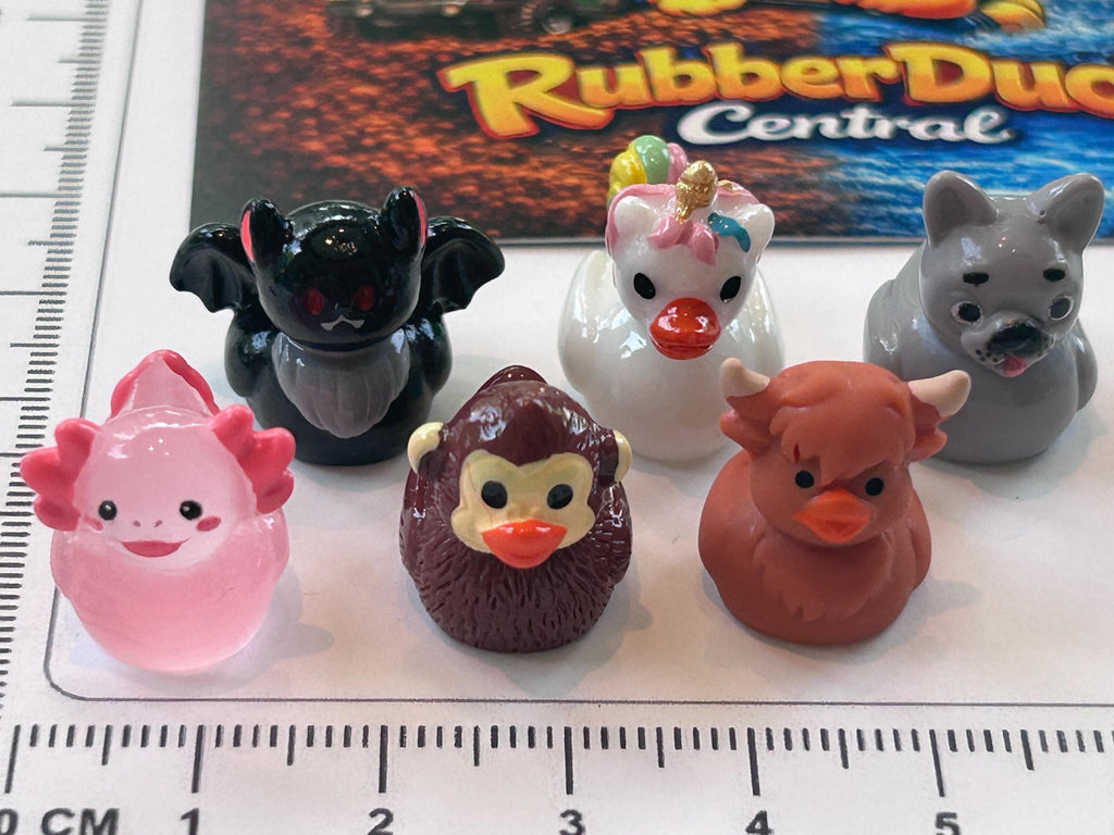 Set of 6, Novelty Animal Themed Mini Resin Ducks, Magnetic or Non-Magnetic, Optional Personalized Duck Hiding Tags