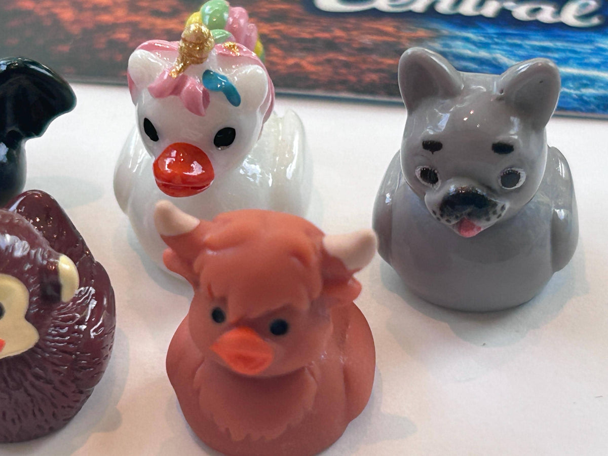 Set of 6, Novelty Animal Themed Mini Resin Ducks, Magnetic or Non-Magnetic, Optional Personalized Duck Hiding Tags