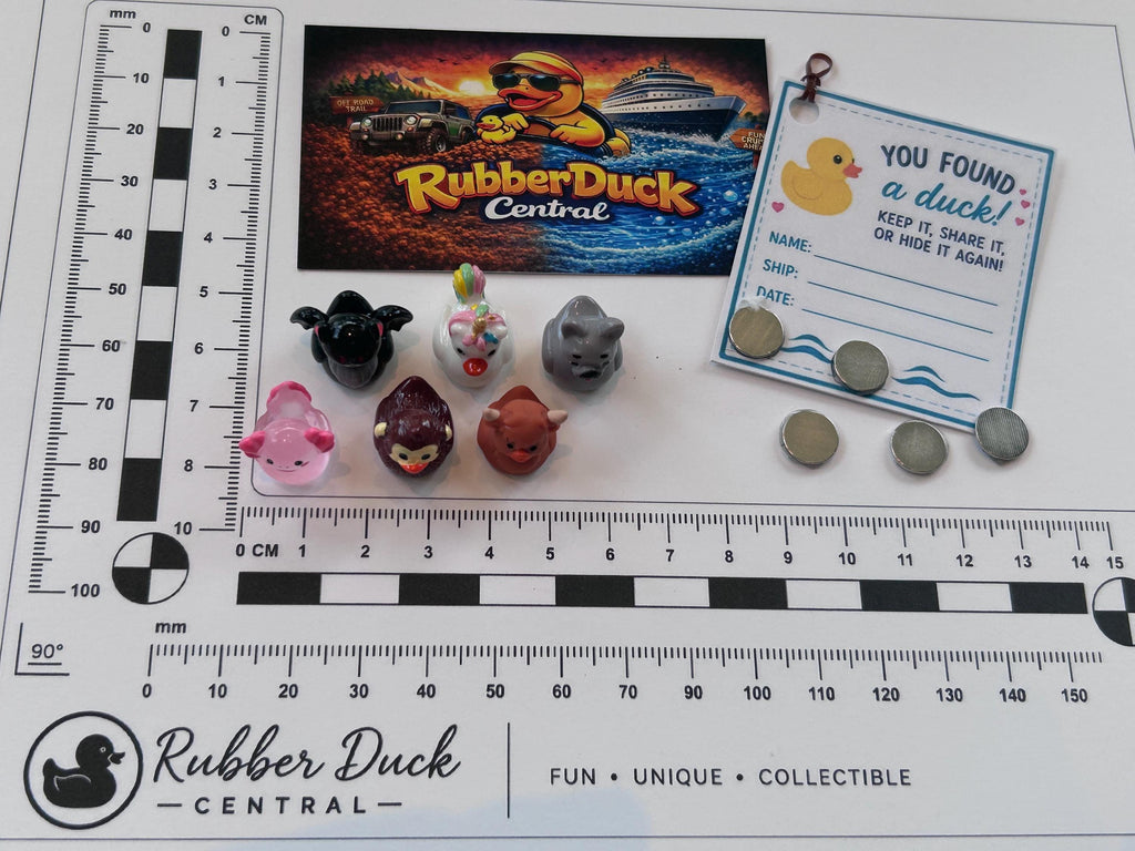 Set of 6, Novelty Animal Themed Mini Resin Ducks, Magnetic or Non-Magnetic, Optional Personalized Duck Hiding Tags