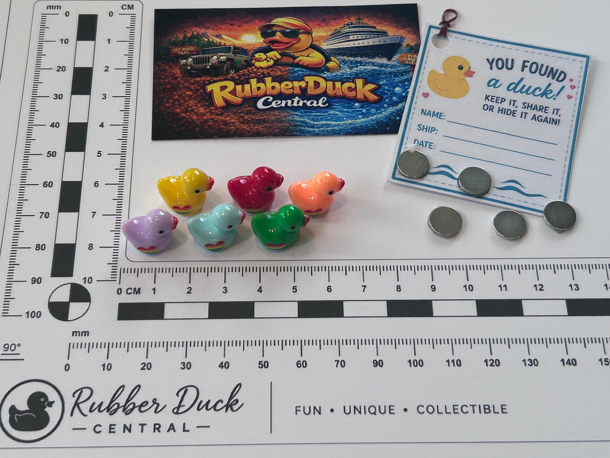 Set of 6, Colorful Rainbow Themed Mini Resin Ducks, Magnetic or Non-Magnetic, Optional Personalized Duck Hiding Tags