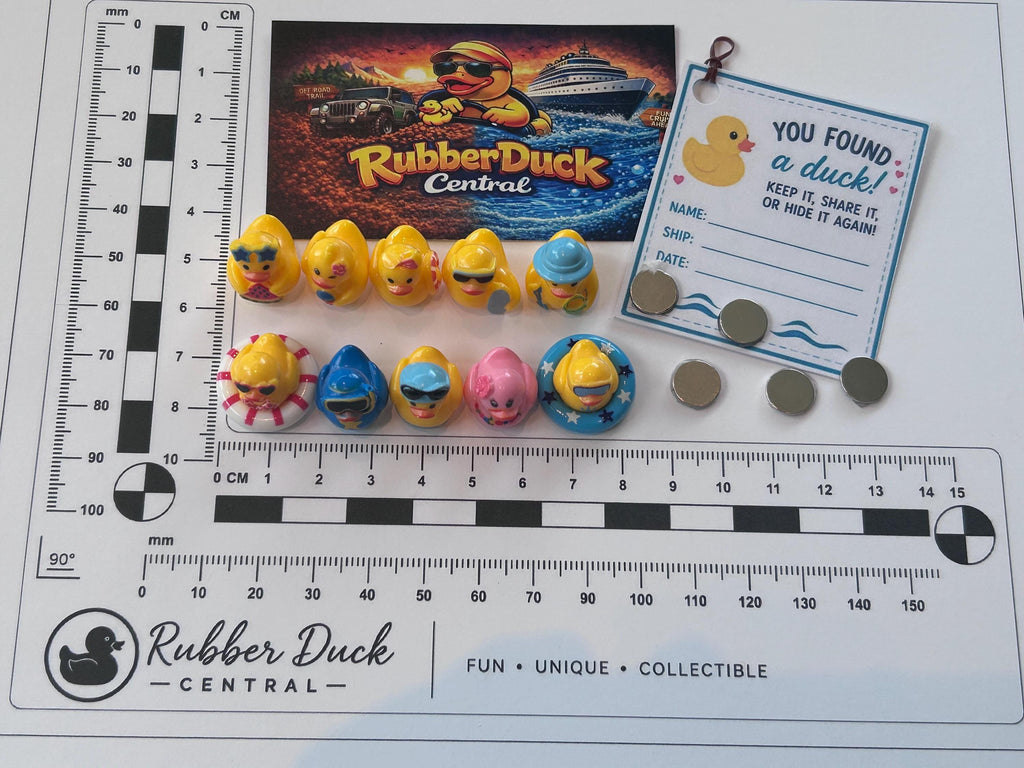 Set of 10, Beach Summer Vacation Themed Mini Resin Ducks, Magnetic or Non-Magnetic, Optional Personalized Duck Hiding Tags