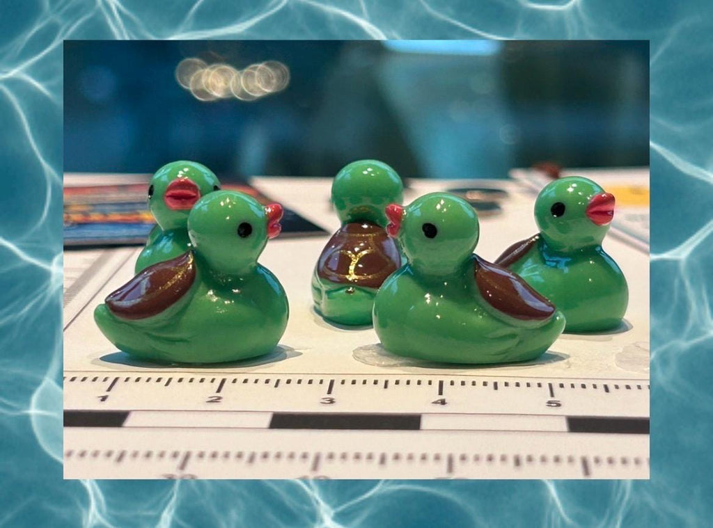 Set of 5, Turtle Themed Mini Resin Ducks, Magnetic or Non-Magnetic, Optional Personalized Duck Hiding Tags