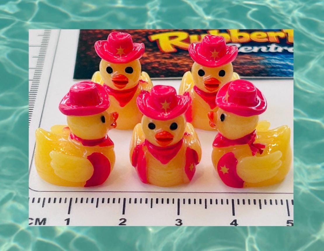 Set of 5, Pink Cowgirl Themed Mini Resin Ducks, Magnetic or Non-Magnetic, Optional Personalized Duck Hiding Tags