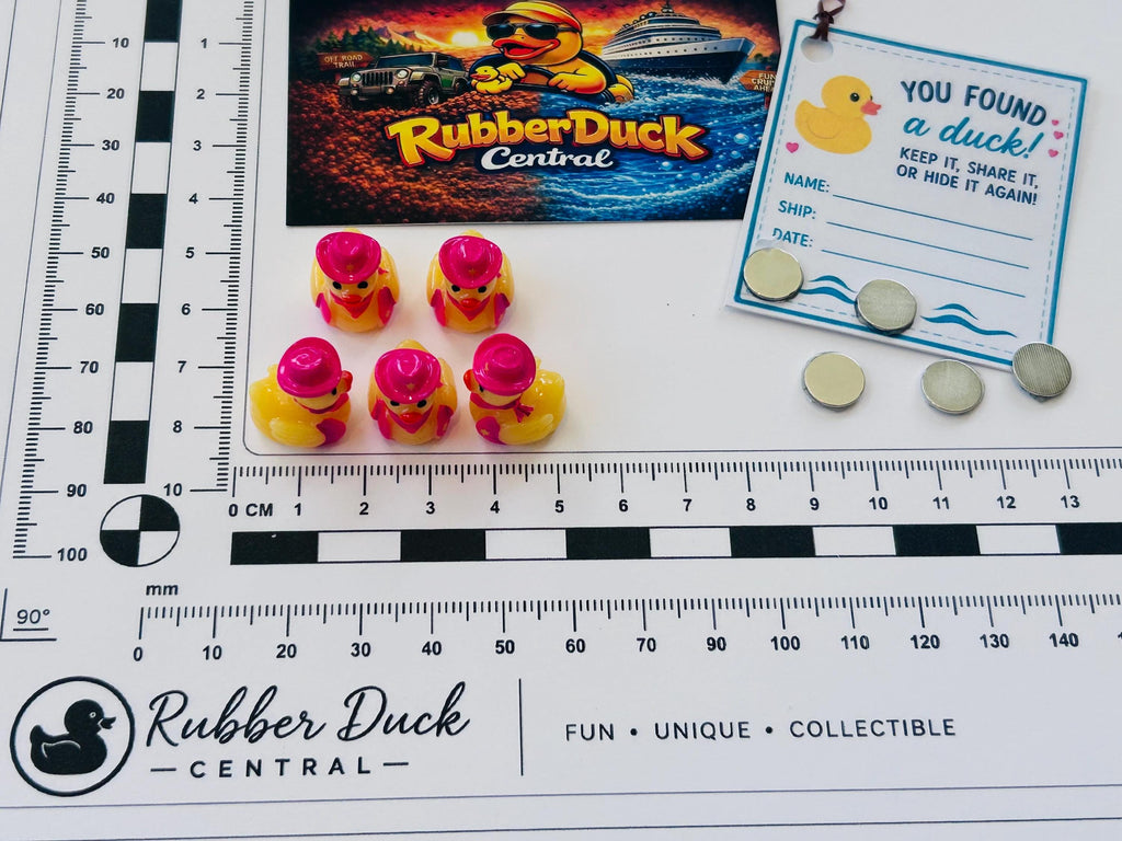 Set of 5, Pink Cowgirl Themed Mini Resin Ducks, Magnetic or Non-Magnetic, Optional Personalized Duck Hiding Tags