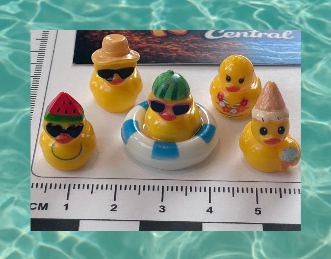 Set of 5, Summertime Fun Themed Mini Resin Ducks, Magnetic or Non-Magnetic, Optional Personalized Duck Hiding Tags