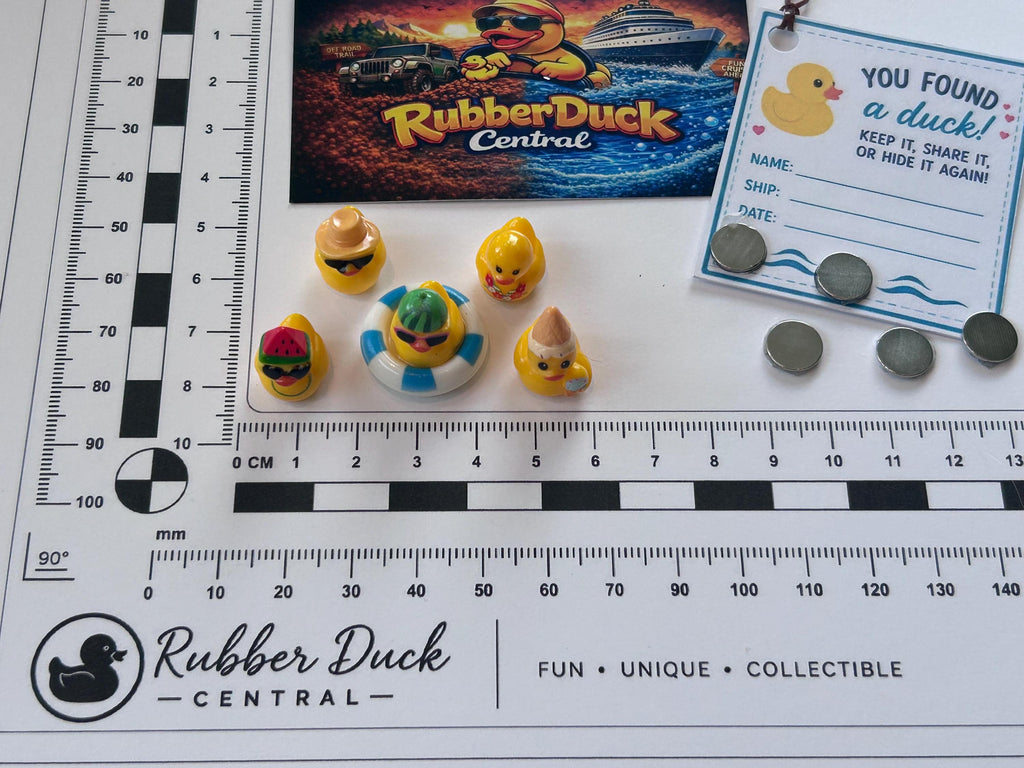 Set of 5, Summertime Fun Themed Mini Resin Ducks, Magnetic or Non-Magnetic, Optional Personalized Duck Hiding Tags