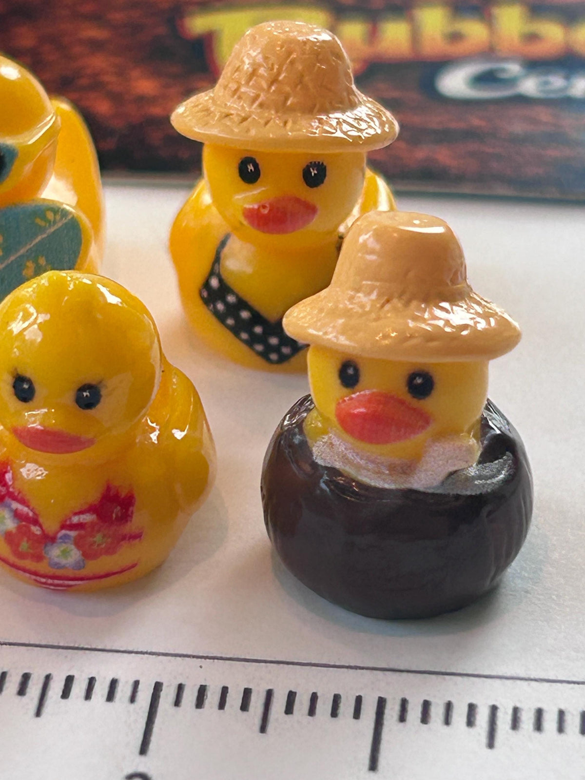 Set of 5, Vacation Time Fun Themed Mini Resin Ducks, Magnetic or Non-Magnetic, Optional Personalized Duck Hiding Tags