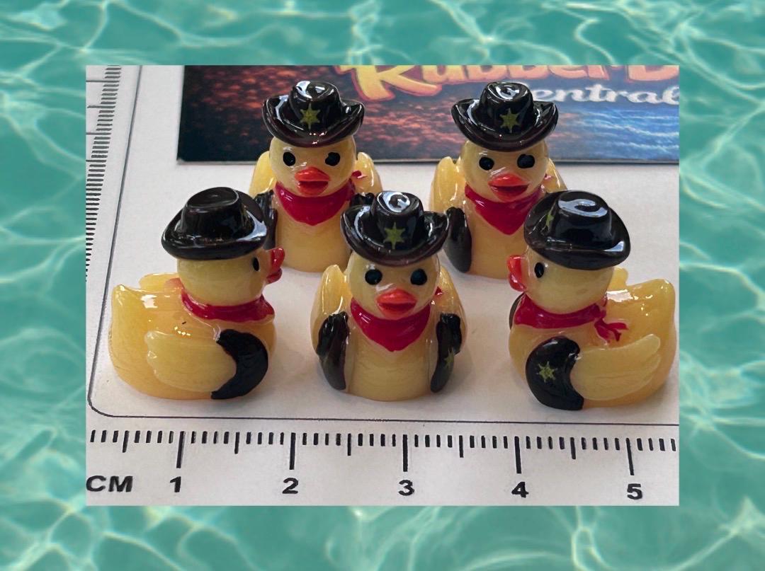 Set of 5, Cowboy Up Themed Mini Resin Ducks, Magnetic or Non-Magnetic, Optional Personalized Duck Hiding Tags