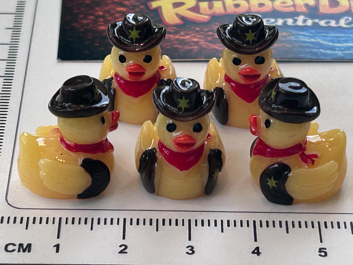 Set of 5, Cowboy Up Themed Mini Resin Ducks, Magnetic or Non-Magnetic, Optional Personalized Duck Hiding Tags