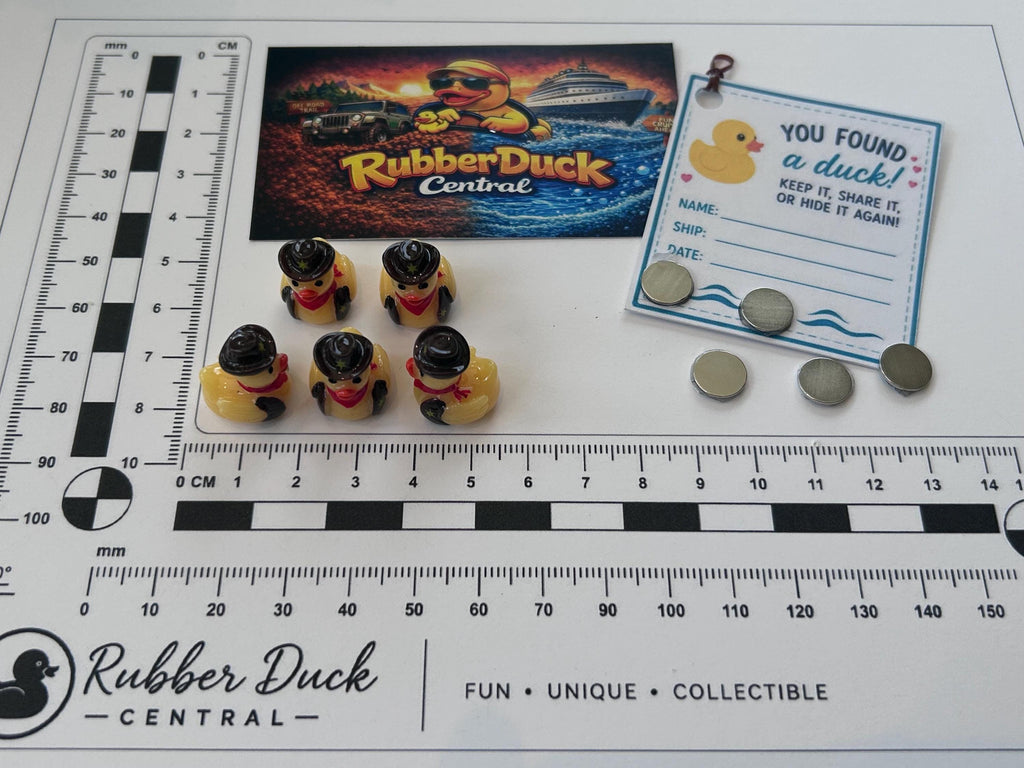 Set of 5, Cowboy Up Themed Mini Resin Ducks, Magnetic or Non-Magnetic, Optional Personalized Duck Hiding Tags