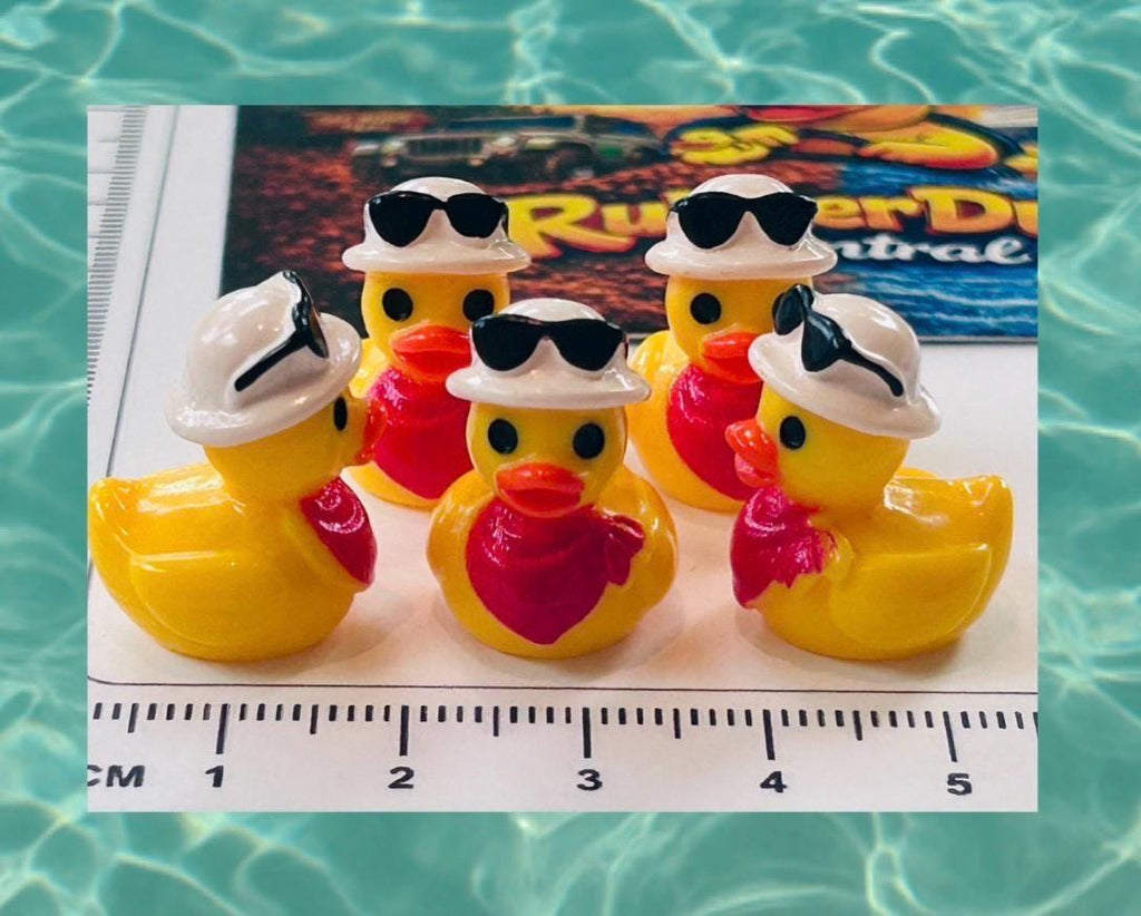 Set of 5, Country with Sunglasses on Head Themed Mini Resin Ducks, Magnetic or Non-Magnetic, Optional Personalized Duck Hiding Tags