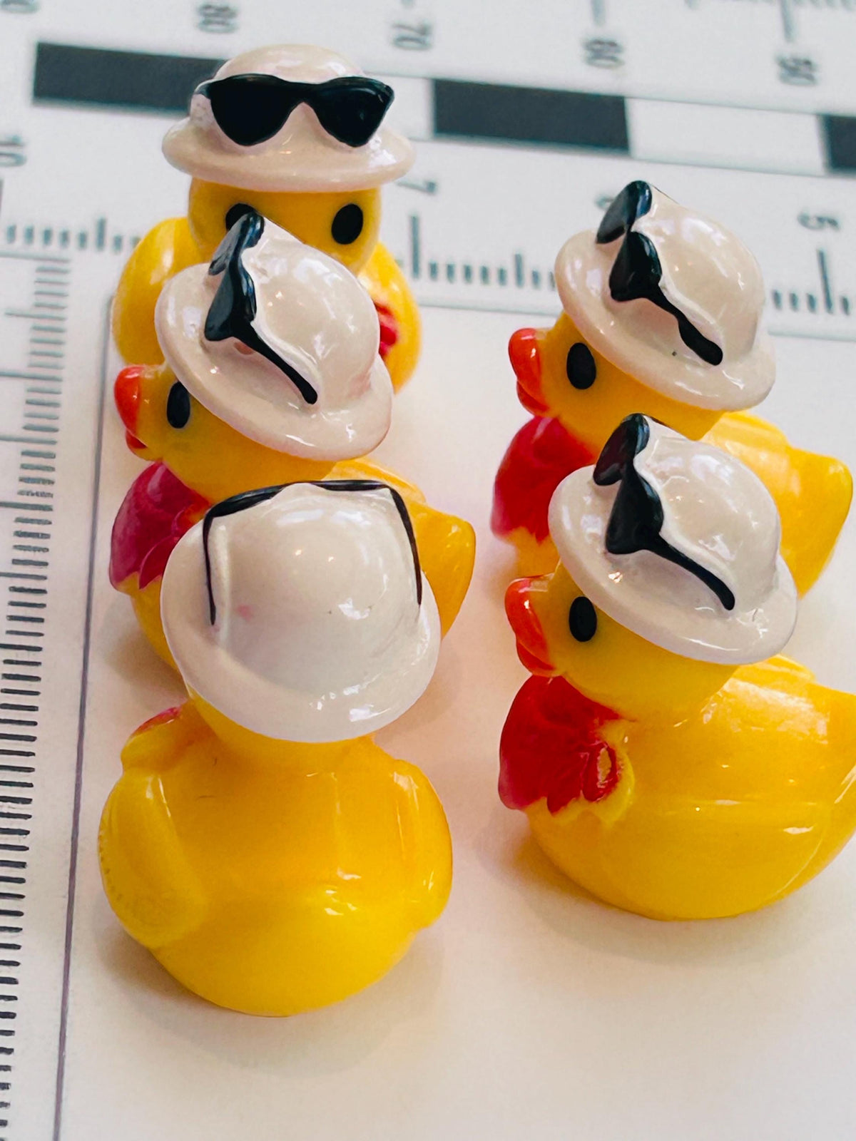 Set of 5, Country with Sunglasses on Head Themed Mini Resin Ducks, Magnetic or Non-Magnetic, Optional Personalized Duck Hiding Tags