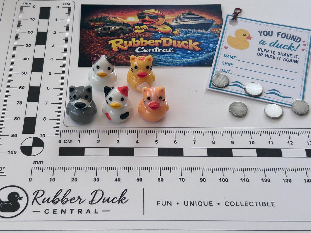 Set of 5, Cat Kitten Themed Mini Resin Ducks, Magnetic or Non-Magnetic, Optional Personalized Duck Hiding Tags