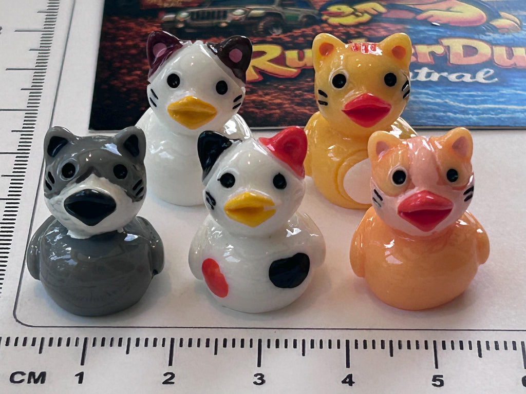 Set of 5, Cat Kitten Themed Mini Resin Ducks, Magnetic or Non-Magnetic, Optional Personalized Duck Hiding Tags