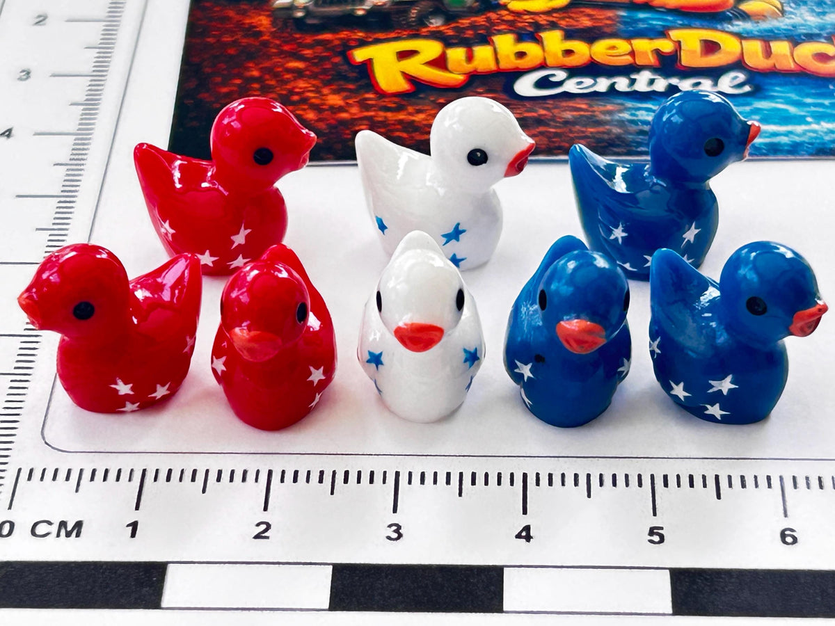 Set of 8, Patriotic Stars Themed Mini Resin Ducks, Magnetic or Non-Magnetic, Optional Personalized Duck Hiding Tags