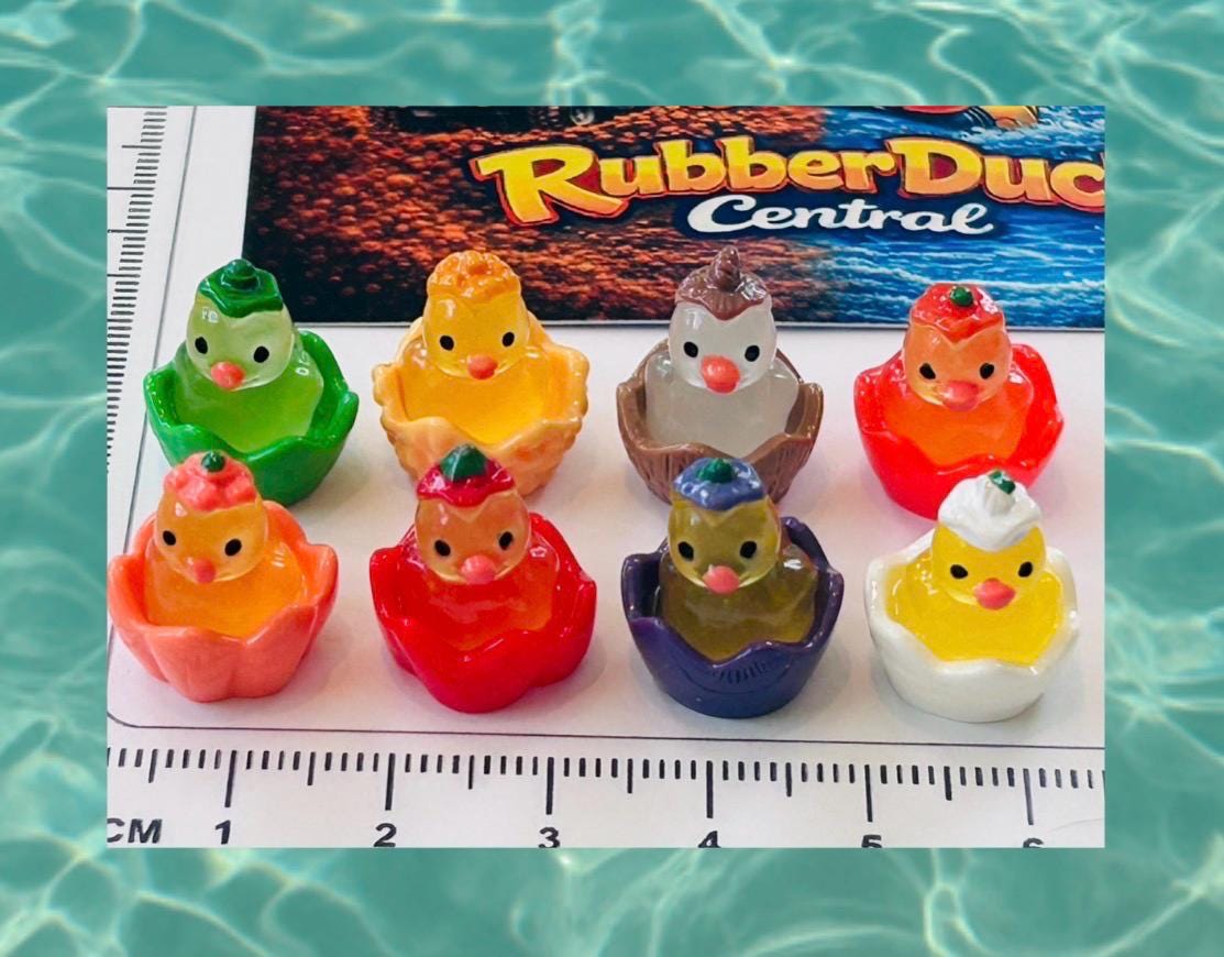 Set of 8, Fruit Themed Mini Resin Ducks, Magnetic or Non-Magnetic, Optional Personalized Duck Hiding Tags