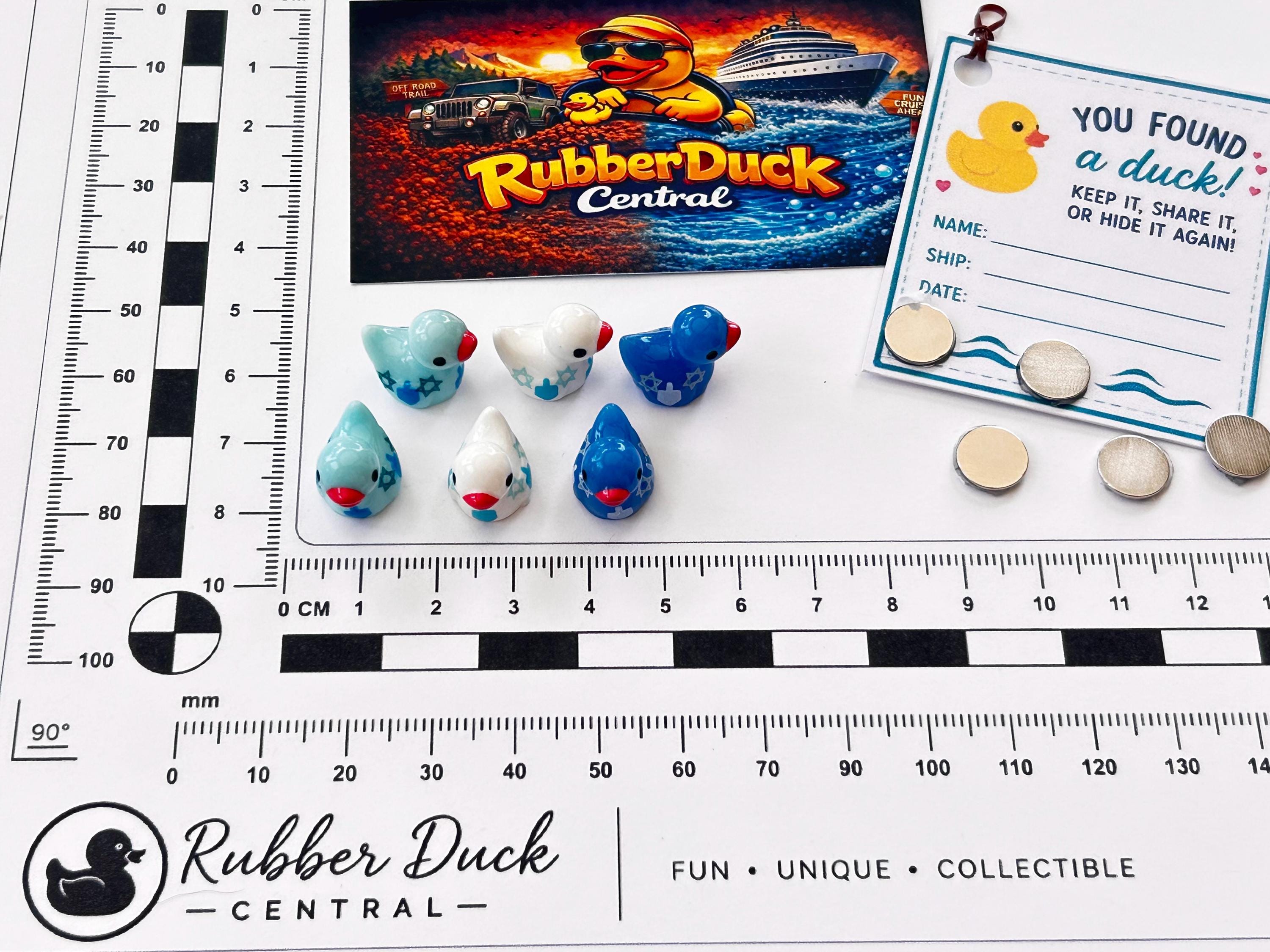 Set of 6, Hanukkah Jewish Themed Mini Resin Ducks, Magnetic or Non-Magnetic, Optional Personalized Duck Hiding Tags