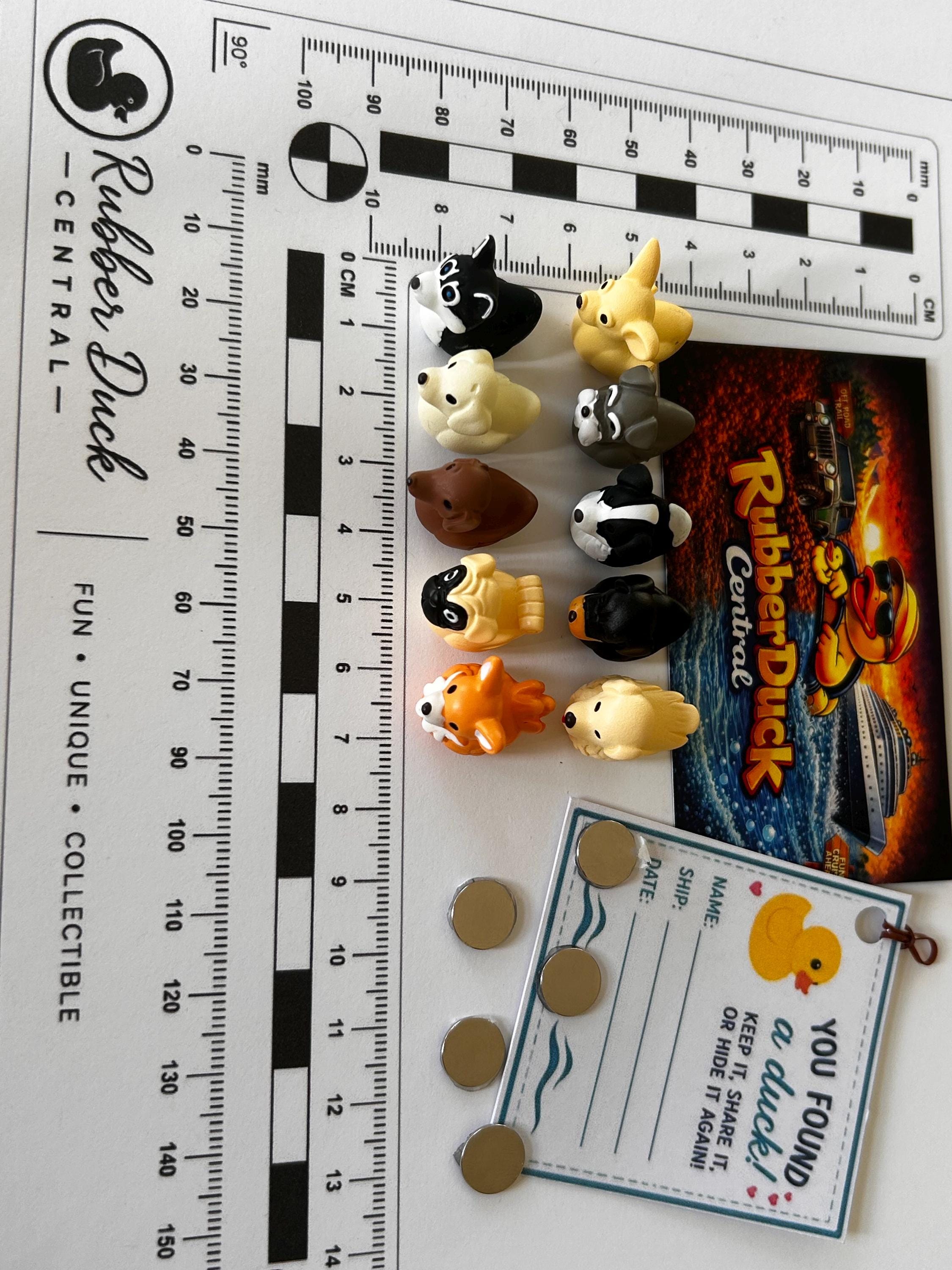 Set of 10, Dog Breed Themed Mini Resin Ducks, Magnetic or Non-Magnetic, Optional Personalized Duck Hiding Tags