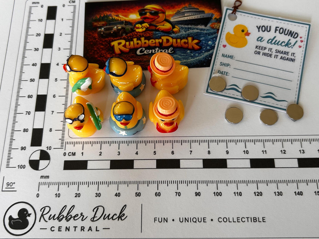 Set of 6, Pool Time Themed Mini Resin Ducks, Magnetic or Non-Magnetic, Optional Personalized Duck Hiding Tags