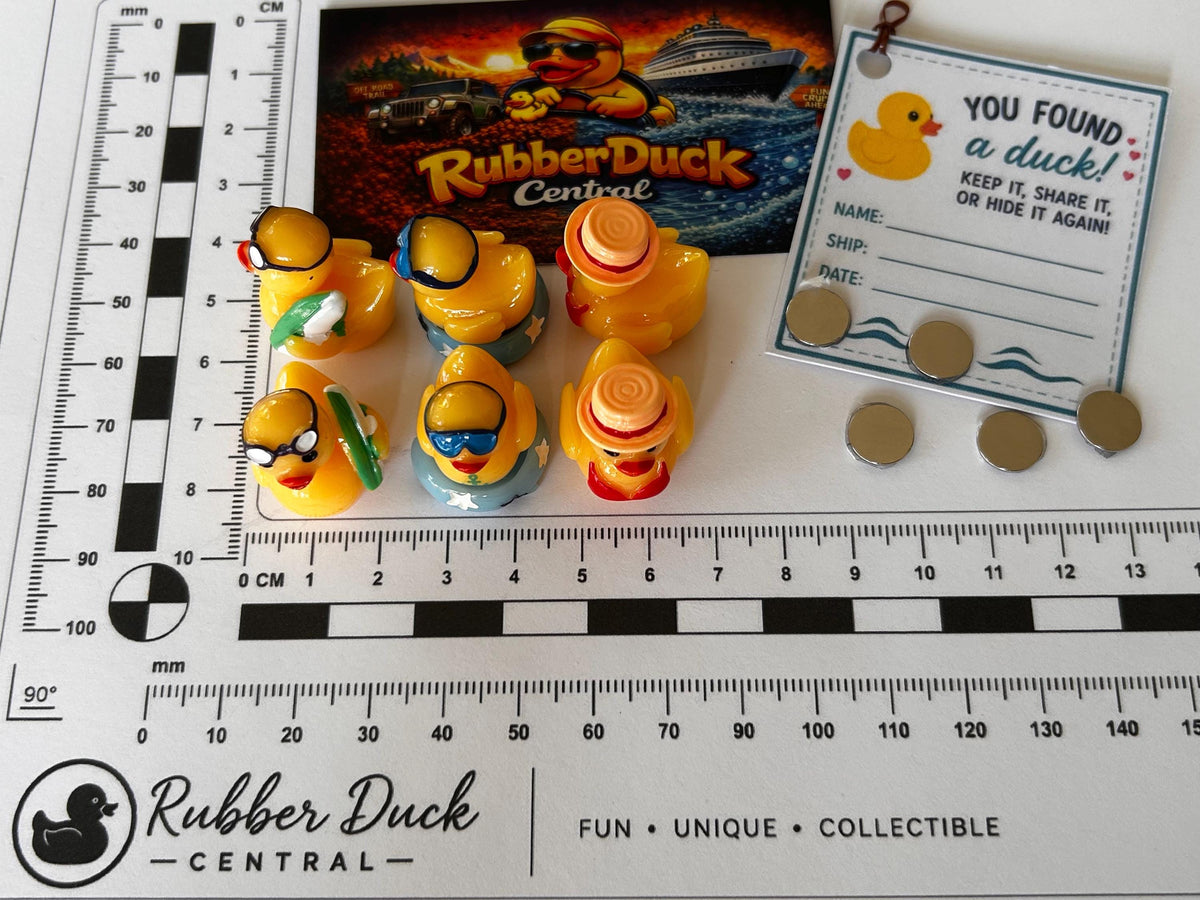 Set of 6, Pool Time Themed Mini Resin Ducks, Magnetic or Non-Magnetic, Optional Personalized Duck Hiding Tags