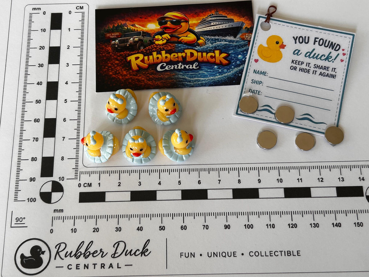 Set of 5, Blue Ballerina Themed Mini Resin Ducks, Magnetic or Non-Magnetic, Optional Personalized Duck Hiding Tags