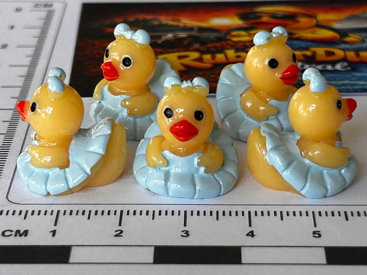 Set of 5, Blue Ballerina Themed Mini Resin Ducks, Magnetic or Non-Magnetic, Optional Personalized Duck Hiding Tags