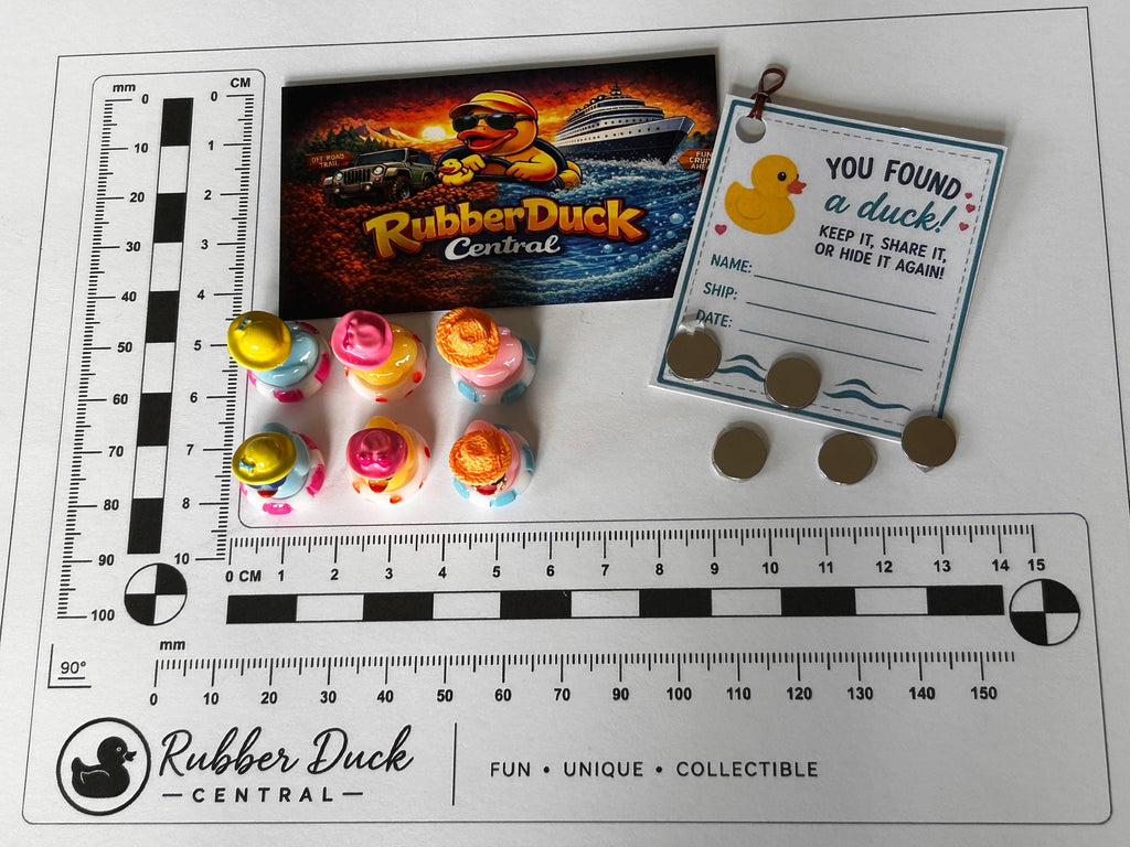 Set of 6, Colorful Pool Float Themed Mini Resin Ducks, Magnetic or Non-Magnetic, Optional Personalized Duck Hiding Tags