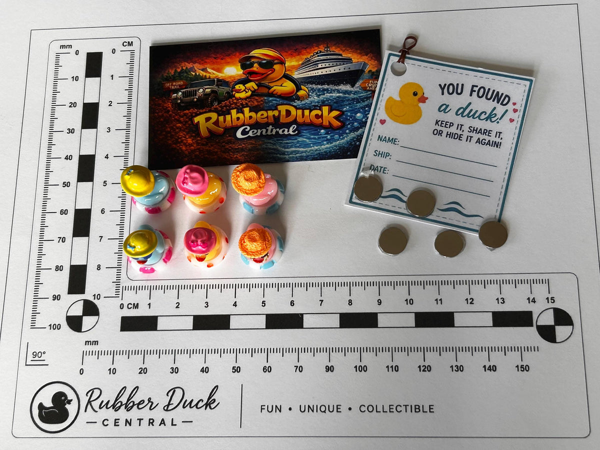 Set of 6, Colorful Pool Float Themed Mini Resin Ducks, Magnetic or Non-Magnetic, Optional Personalized Duck Hiding Tags