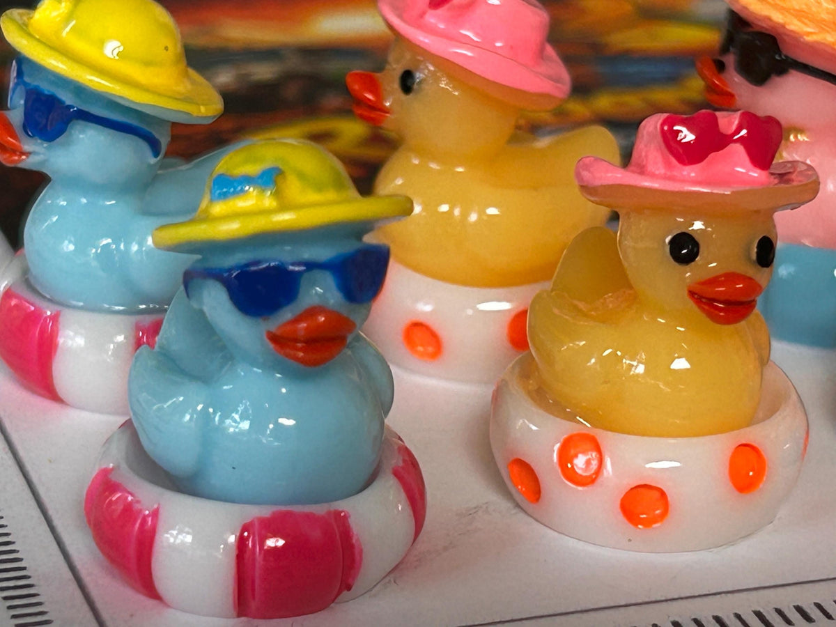Set of 6, Colorful Pool Float Themed Mini Resin Ducks, Magnetic or Non-Magnetic, Optional Personalized Duck Hiding Tags