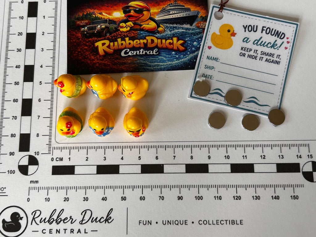 Set of 6, Hawaiian Shirt and Grass Skirt Themed Mini Resin Ducks, Magnetic or Non-Magnetic, Optional Personalized Duck Hiding Tags