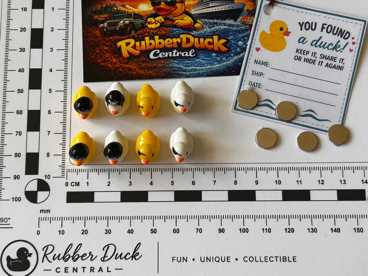 Set of 8, Pirate Themed Mini Resin Ducks, Magnetic or Non-Magnetic, Optional Personalized Duck Hiding Tags