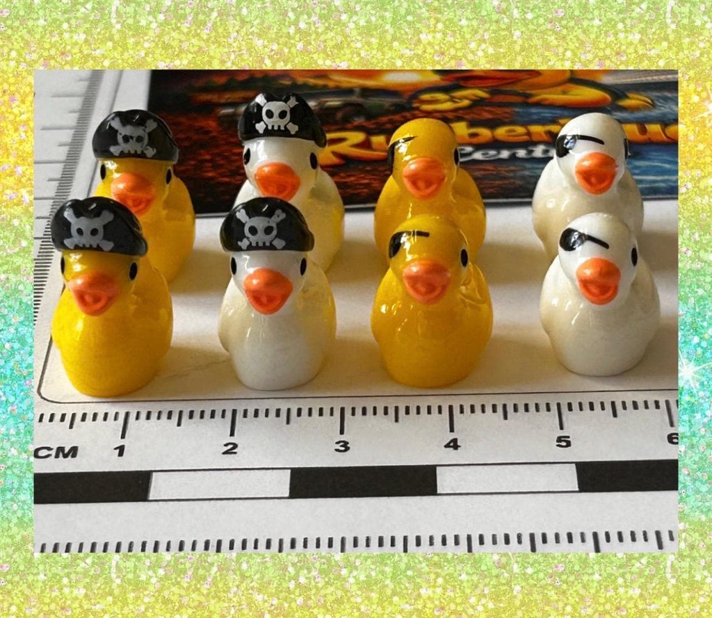 Set of 8, Pirate Themed Mini Resin Ducks, Magnetic or Non-Magnetic, Optional Personalized Duck Hiding Tags