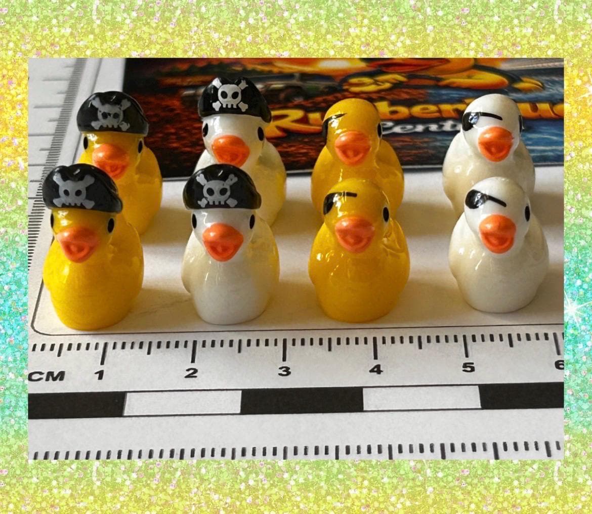 Set of 8, Pirate Themed Mini Resin Ducks, Magnetic or Non-Magnetic, Optional Personalized Duck Hiding Tags
