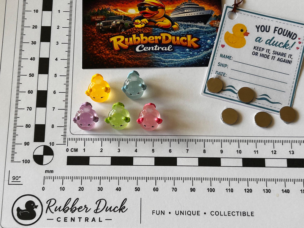 Set of 5, Glow-in-the-Dark Colorful Axolotl Themed Mini Resin Ducks, Magnetic or Non-Magnetic, Optional Personalized Duck Hiding Tags