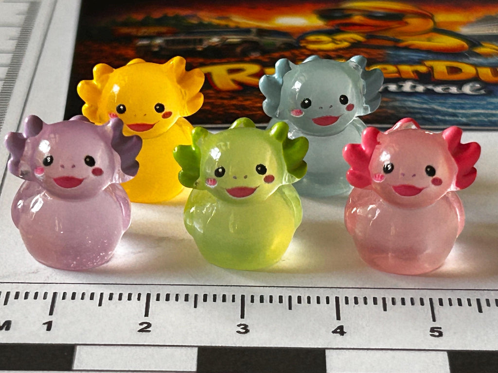 Set of 5, Glow-in-the-Dark Colorful Axolotl Themed Mini Resin Ducks, Magnetic or Non-Magnetic, Optional Personalized Duck Hiding Tags