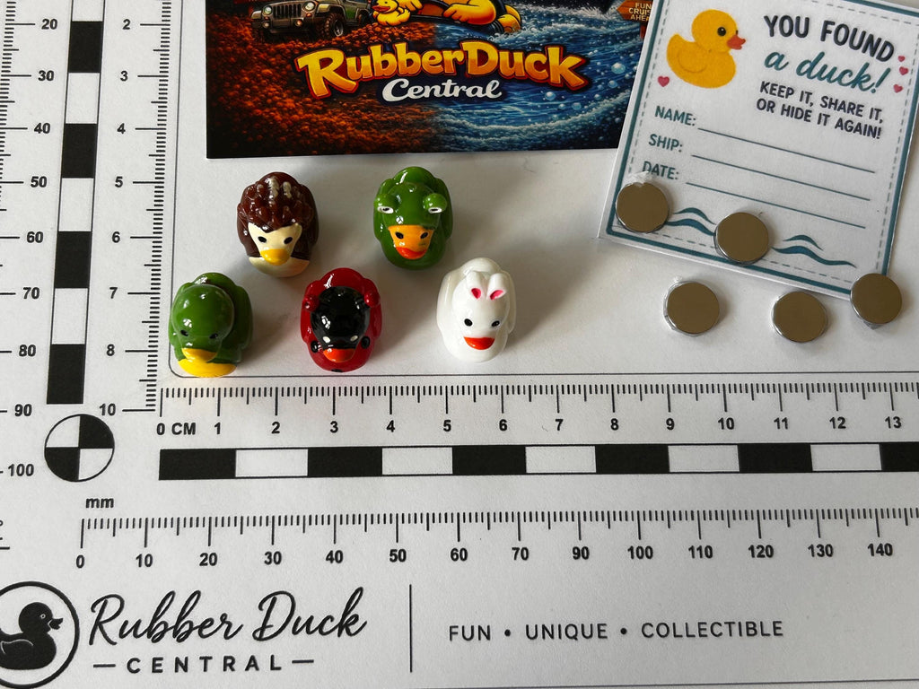 Set of 5, Forest Animal Themed Mini Resin Ducks, Magnetic or Non-Magnetic, Optional Personalized Duck Hiding Tags