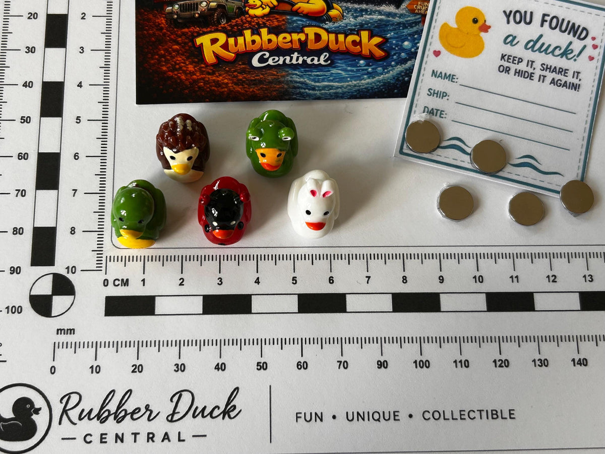 Set of 5, Forest Animal Themed Mini Resin Ducks, Magnetic or Non-Magnetic, Optional Personalized Duck Hiding Tags