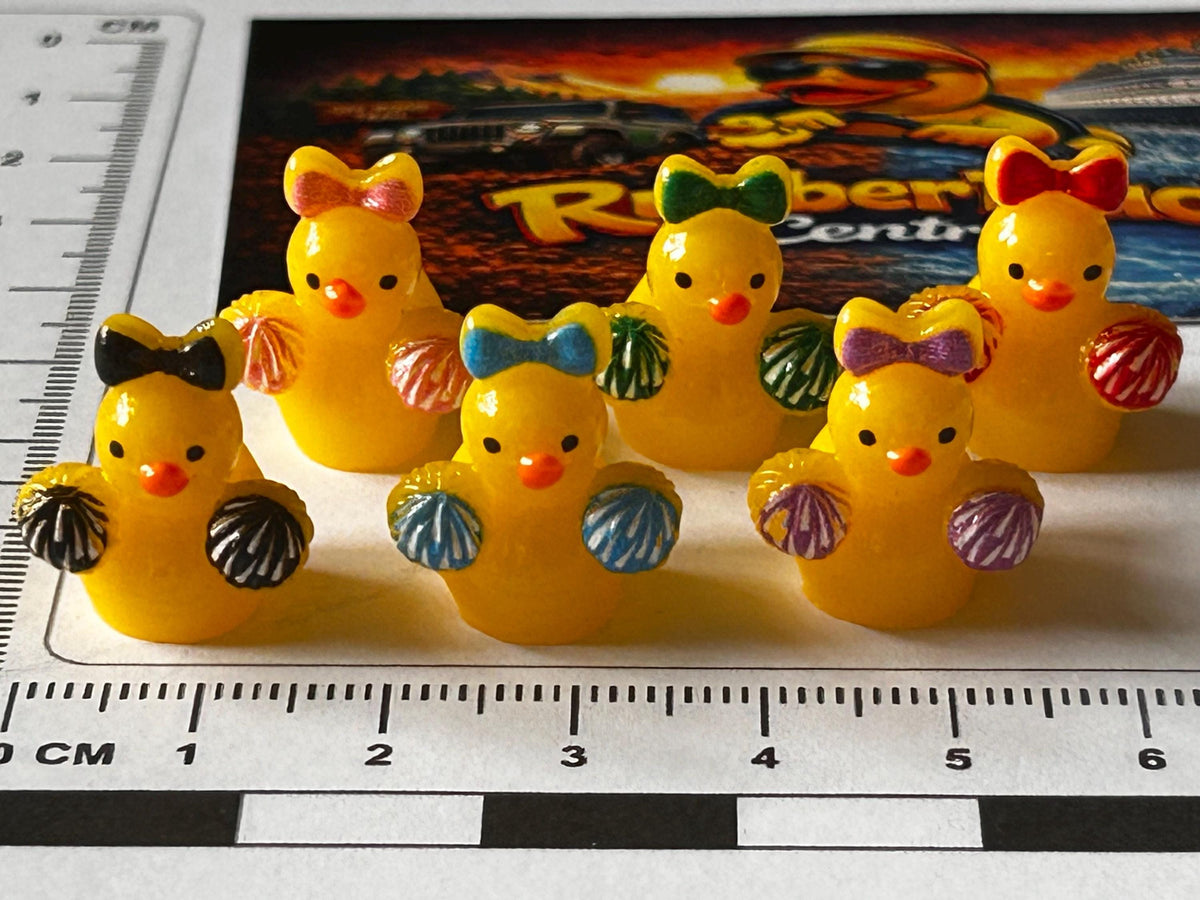 Set of 6, Cheerleader Themed Mini Resin Ducks, Magnetic or Non-Magnetic, Optional Personalized Duck Hiding Tags