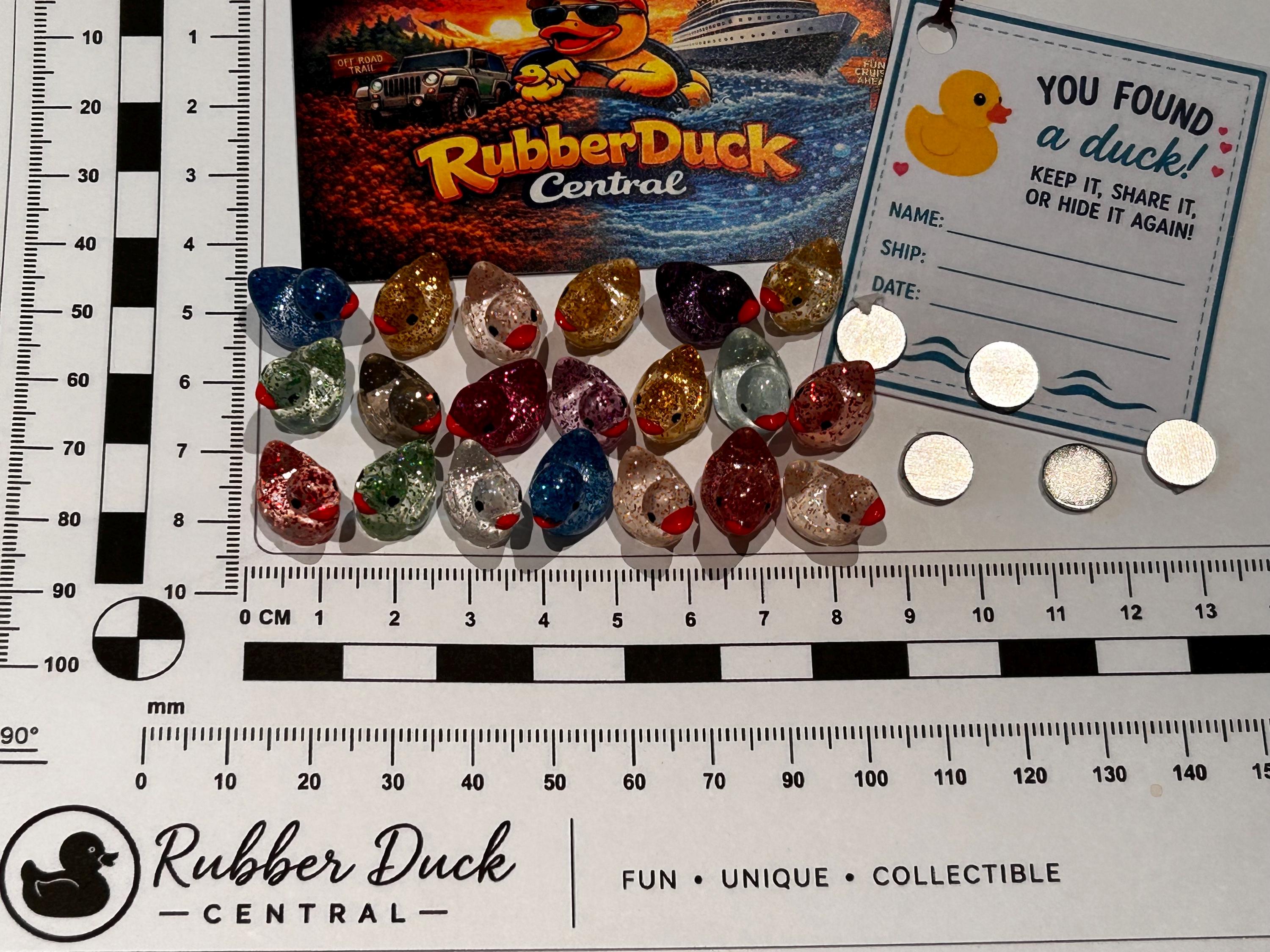 Set of 20, Glitter (assorted colors) Themed Mini Resin Ducks, Magnetic or Non-Magnetic, Optional Personalized Duck Hiding Tags