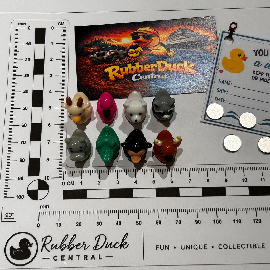 Set of 8, Mixed Animal (Set 1) Themed Mini Resin Ducks, Magnetic or Non-Magnetic, Optional Personalized Duck Hiding Tags