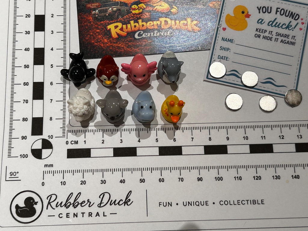 Set of 8, Mixed Animal (Set 2) Themed Mini Resin Ducks, Magnetic or Non-Magnetic, Optional Personalized Duck Hiding Tags
