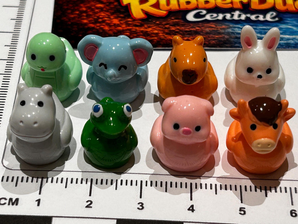 Set of 8, Mixed Animal (Set 3) Themed Mini Resin Ducks, Magnetic or Non-Magnetic, Optional Personalized Duck Hiding Tags